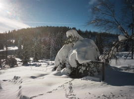 Foto 10