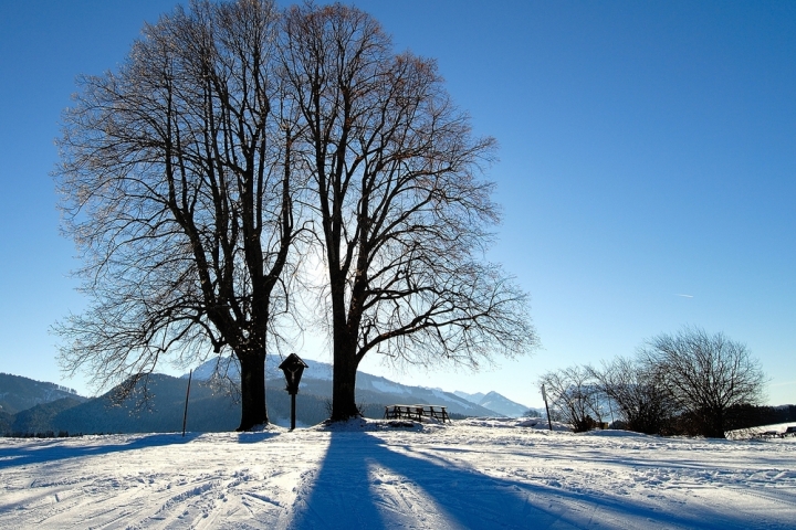 Winterwanderwege