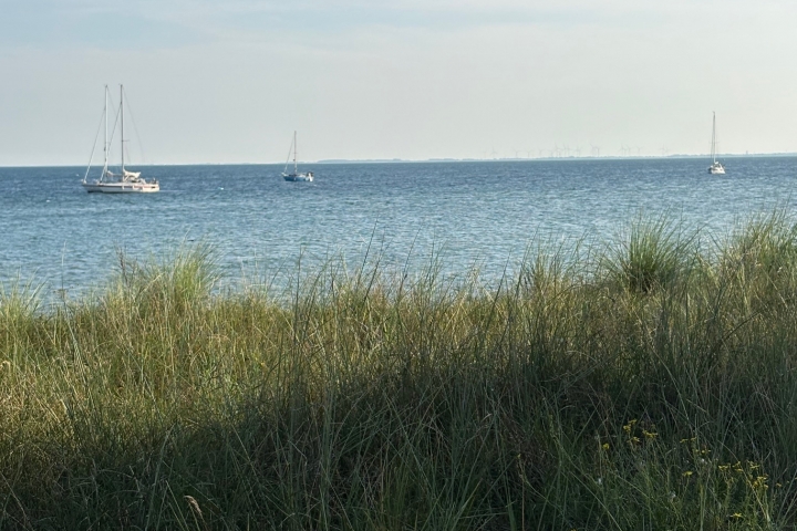 ankernde Segelyachten