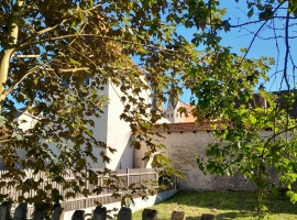Foto 21