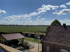 Foto 22