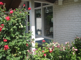 Foto 10
