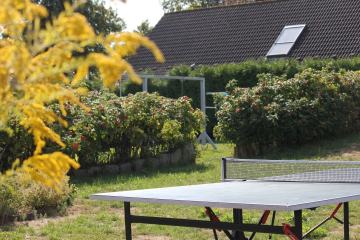 Blick vom Urlaubsgarten mit Obstwiese auf die Villa Klatschmohn