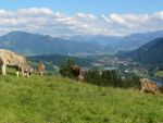 Wandern mit Blick auf die Alpseen und Immenstadt