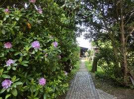 Foto 17