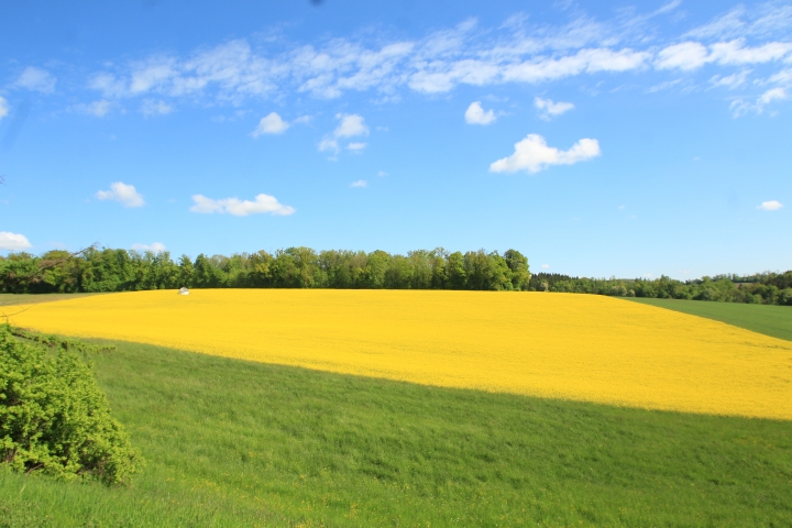 Blick vom Spielplatz auf die Felder