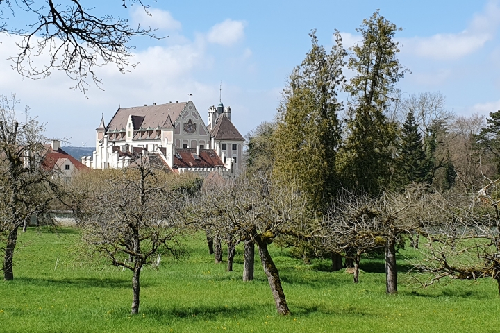 Schloss Taxis (ca. 800 m vom Ferienhaus entfernt)