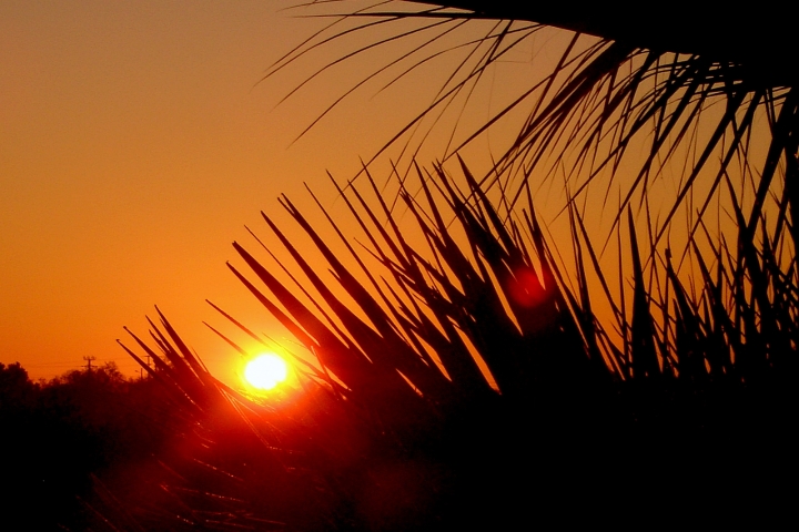 Sonnenaufgang vom Garten aus fotografiert