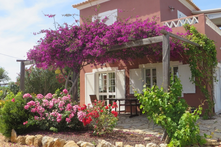 Casa Vermelha, das rote Haus. Bougainvillea, und Weinranken sorgen für Schatten unter der Pergola