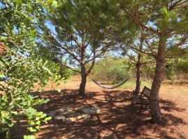 Foto 15