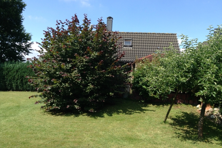 Blick vom Garten auf die Gästeterrasse