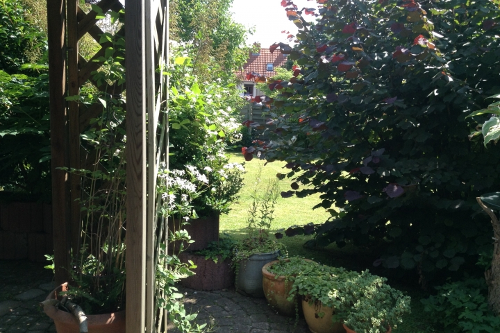 Blick vom Garten auf die Terrasse.