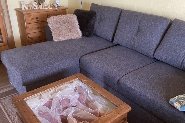 Wohnzimmer mit Schlafsofa .
1,40 m x 2,00 m ausziehbar.