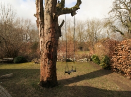 Foto 15