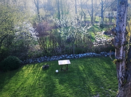 Foto 16