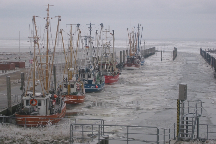 Kutterhafen mit Eisschollen