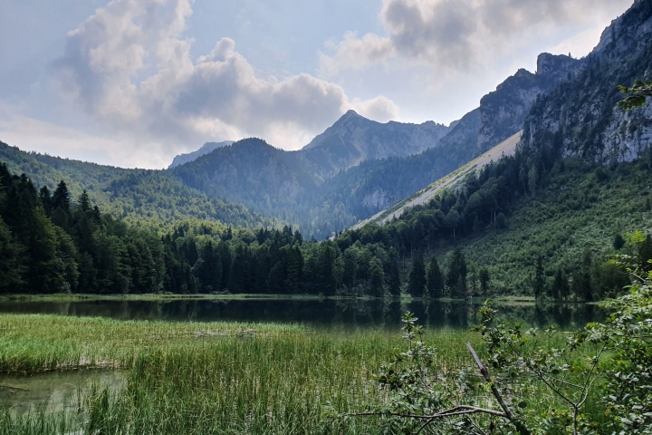 Frillensee