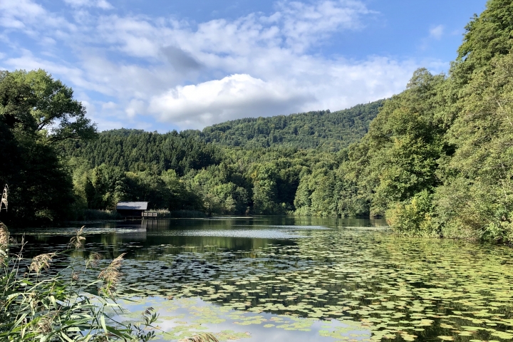 Höglwörther See