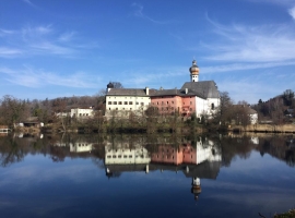 Foto 16
