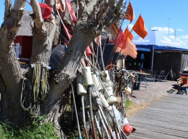 Foto 15