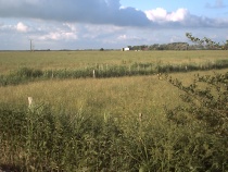 Der Blick reicht bis nach Dänemark