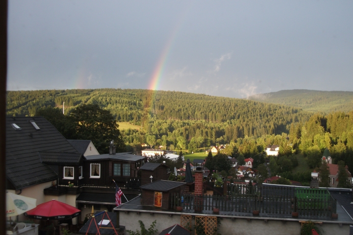 Blick vom Haus im Sommer