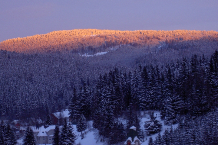 Blick vom Haus