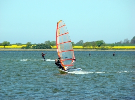 Foto 6