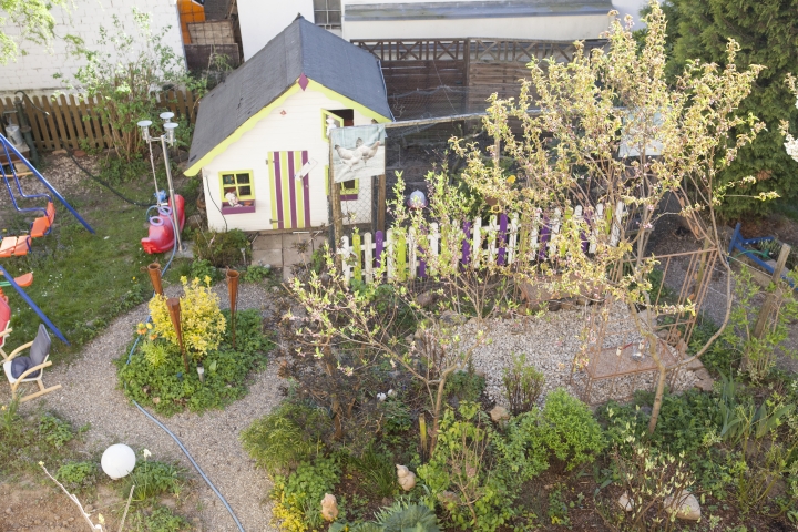Blick in den Garten