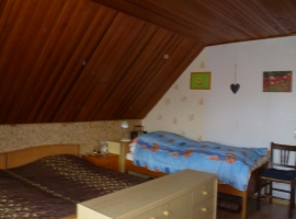 Foto 19