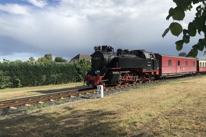 Der Molli auf dem Weg nach Bad Doberan