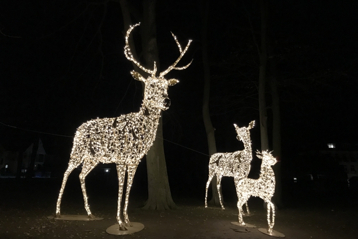 Kleine Lichterwelt im Lindenpark - Kühlungsborn-West