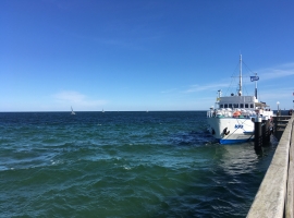 Foto 15