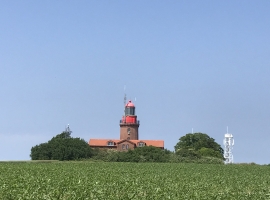 Foto 19