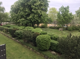 Blick vom Balkon 