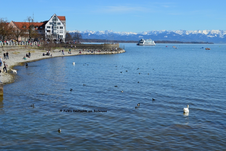 Die Friedrichshafener Uferpromenade beginnt nach 200 m. Sie ist die längste und wohl auch schönste am Bodensee.