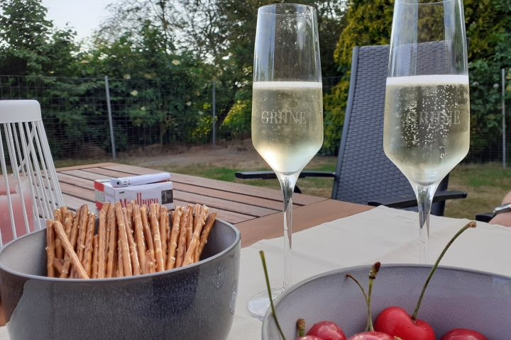 Die 24qm große Terrasse genießen. Das Grundstück ist eingezäunt, so dass Ihr Hund sorgenfrei laufen kann.