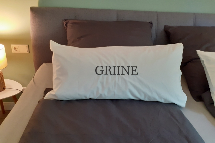 GRIINE- ein Lächeln auf Friesisch