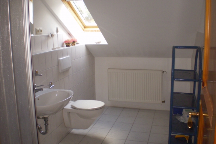 Das Badezimmer mit Duschkabine