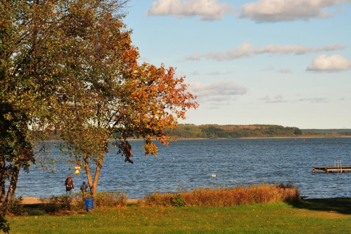 Badestrand Fleesensee ca. 150 m entfernt