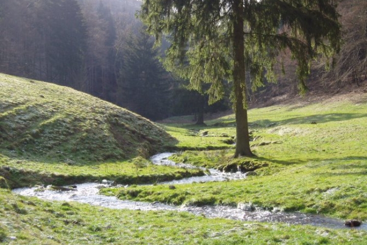 Natur-pur
