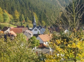 Foto 11