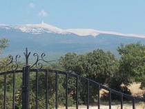 Foto 9