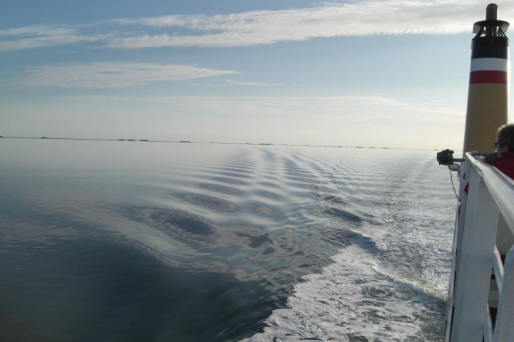 Ausflug nach Amrum mit Blick auf die Halligen
