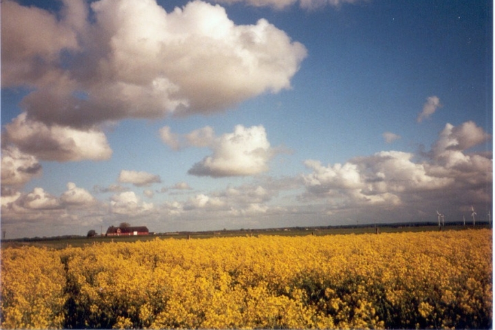 herrlicher Ausblick