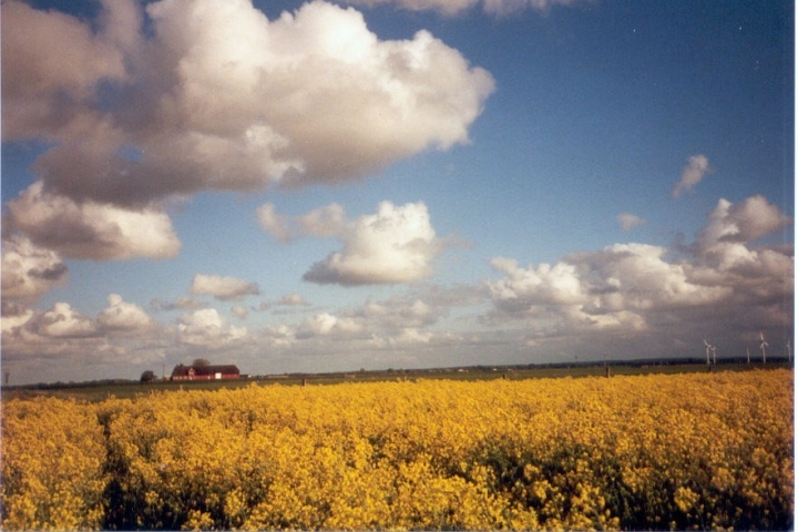 herrlicher Ausblick