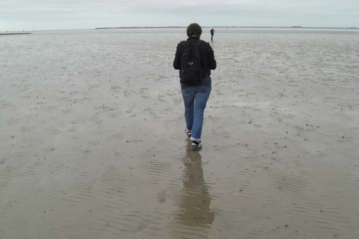 Die Nordsee bei Ebbe