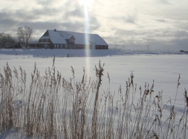 Foto 12