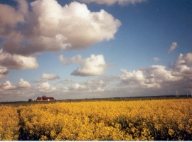 herrlicher Ausblick