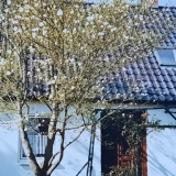 Ferienhaus Haus Engel